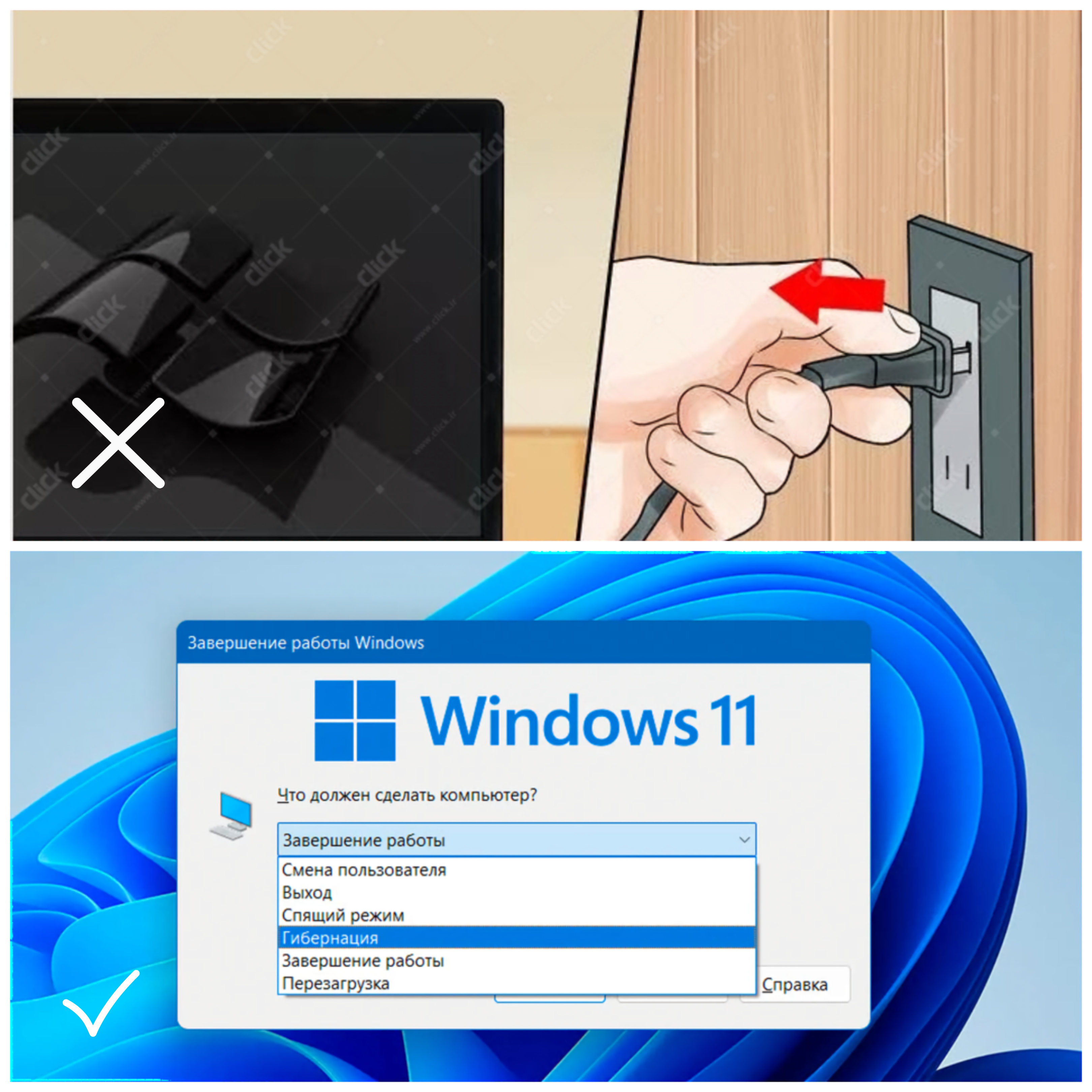 555.png